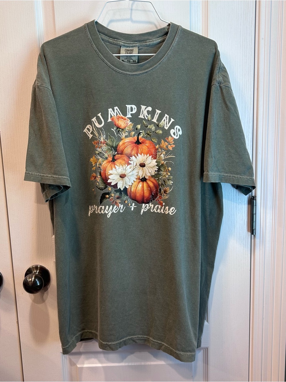 Comfort Colors Women’s Fall Tees Teal Leopard Pumpkin, Olive Prayer & Praise XL - Picture 5 of 6